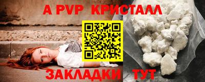 прущие грибы Моздок