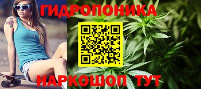 прущие грибы Моздок
