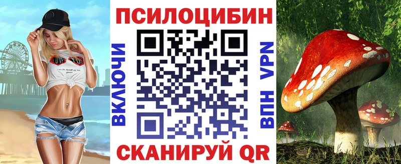 Псилоцибиновые грибы Psilocybine cubensis Богданович