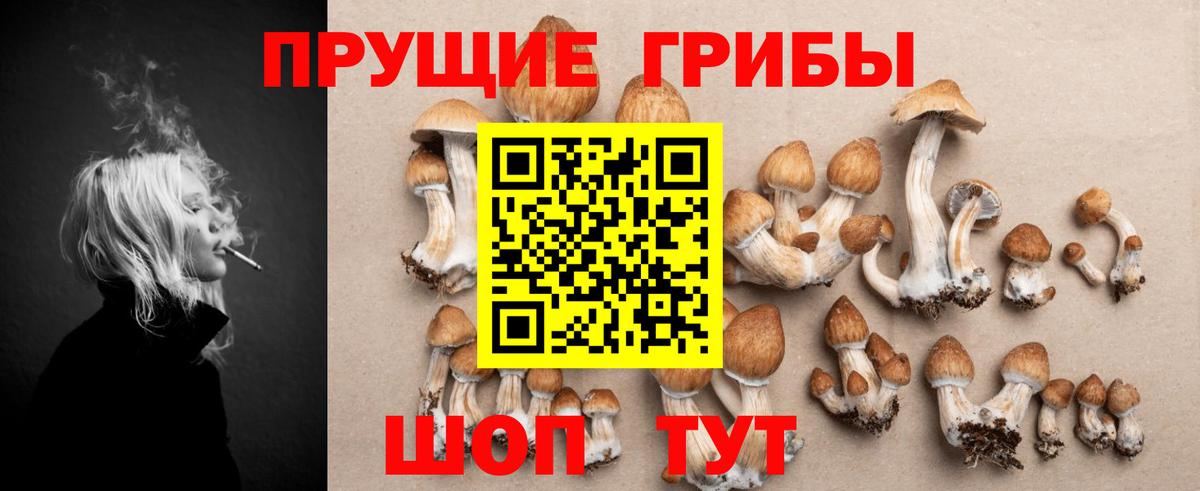 Богданович  Псилоцибиновые грибы мухоморы  Вход с VPN 